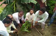 बलरामपुर अस्पताल में रोपे गए 100 से अधिक पौधे