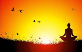 यूपी में 15 से 30 जून तक मनाया जायेगा योग पखवाड़ा